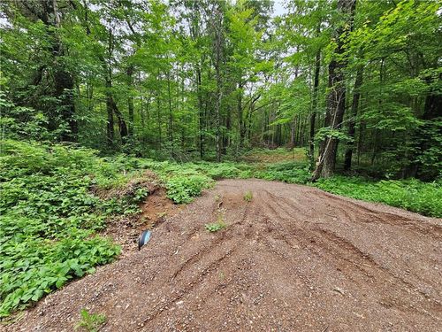 0 290th Ave Avenue, LAKE HOLCOMBE, WI, 54745 | Card Image