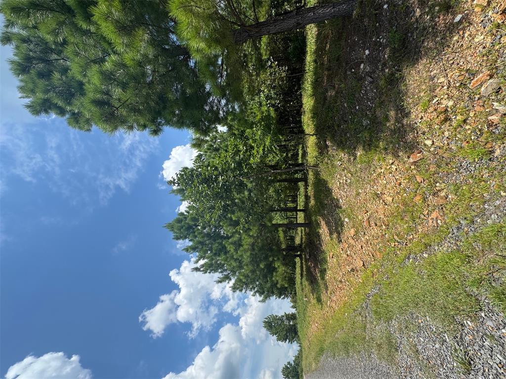 Land in Broken Bow 3