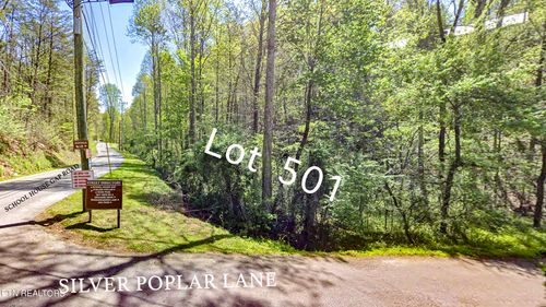  Silver Poplar Lane, Sevierville, TN, 37876 | Card Image