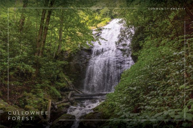 Community Waterfall | Image 5