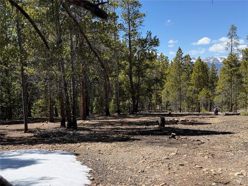 966 Lady Alice, Leadville, CO, 80461 | Card Image
