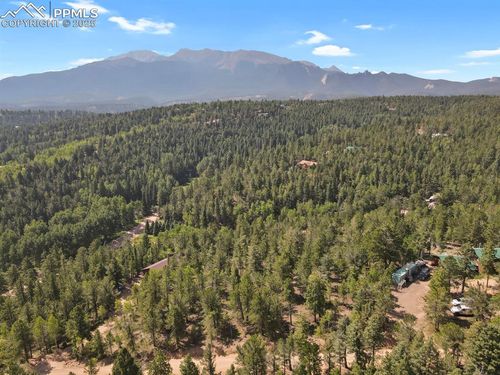 132 Elk Ln, Woodland Park, CO, 80863-8225 | Card Image