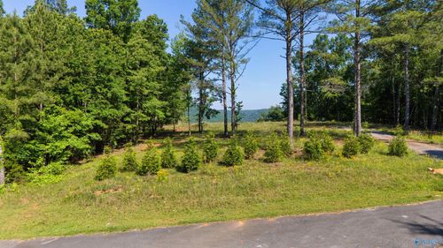 1450 County Road 137, Cedar Bluff, AL, 35959-3665 | Card Image