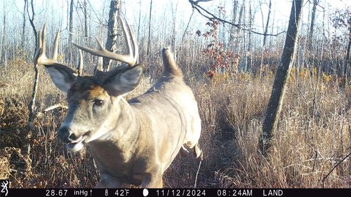 1581 50th St, Turtle Lake, WI, 54889-9135 | Card Image