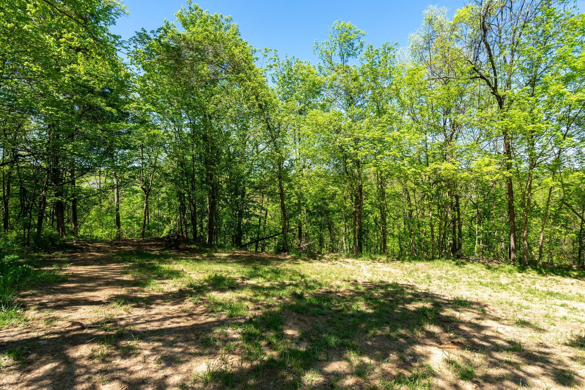 Louisville Hwy, Goodlettsville, TN 37072