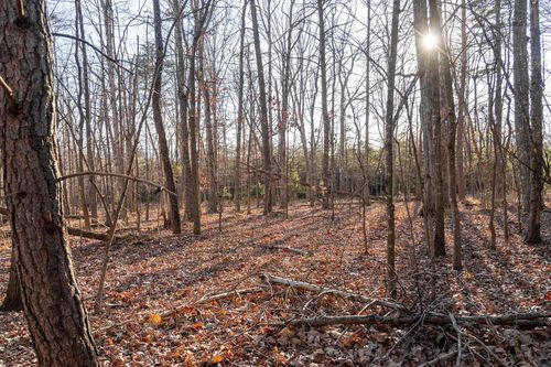 0 Woodland Dr, LURAY, VA, 22835 | Card Image