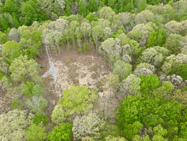 0 Deerwood Dr, Home with 0 bedrooms, 0 bathrooms and null parking in Sewanee TN | Image 34