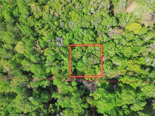 TBD Se 41st Ter, BELLEVIEW, FL, 34420 | Card Image