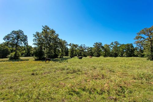 11041 Jackrabbit Ln, Bryan, TX, 77808-4033 | Card Image