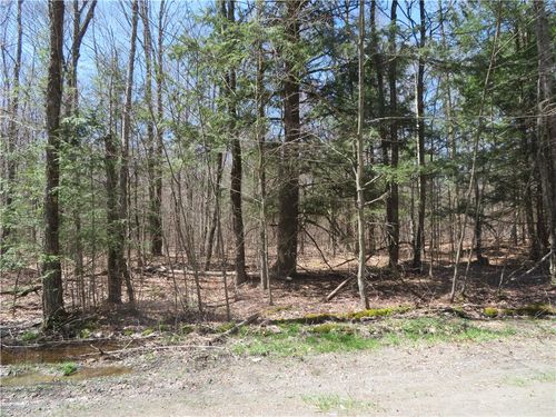 15 Ward Loomis Road, Oxford, NY, 13830 | Card Image
