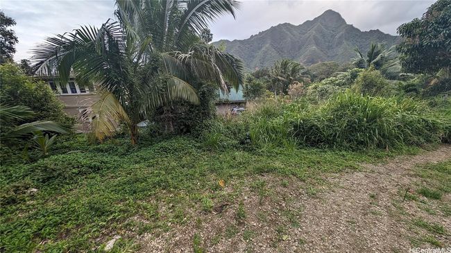 3F - 53-354 Kamehameha Hwy, Home with 0 bedrooms, 0 bathrooms and null parking in Hauula HI | Image 5