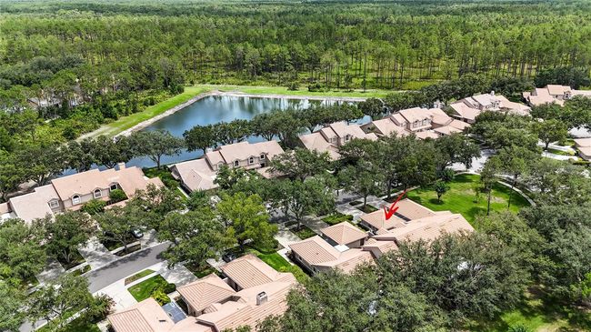17544 Fairmeadow Dr, Townhouse with 3 bedrooms, 2 bathrooms and null parking in Tampa FL | Image 40