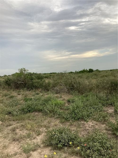 1021 Frontier A Rd, San Diego, TX, 78384 | Card Image
