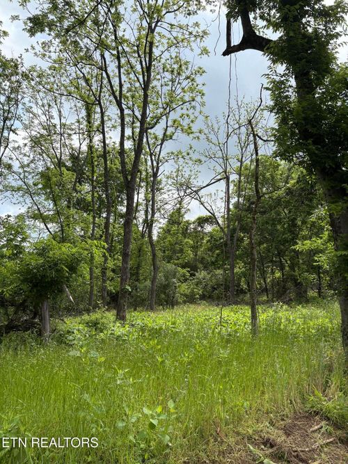 0 Grubb Rd, Lenoir City, TN, 37771 | Card Image