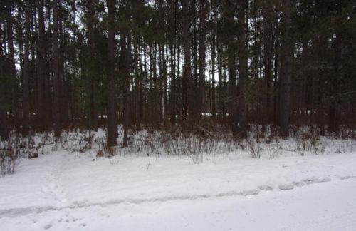 Lot 60 Cedar Ave, Sayner, WI, 54560 | Card Image