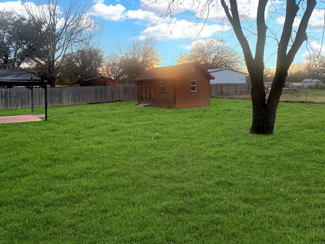 (Grass has been digitally edited to show potential) | Image 10