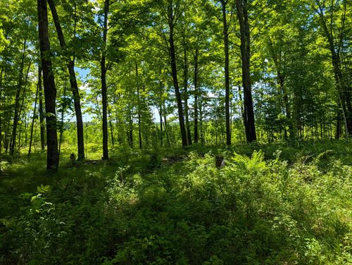 Off Bare Acres Ln, Phillips, WI, 54555 | Card Image