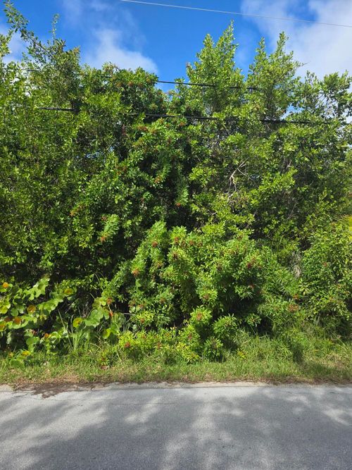 Lot 6 Date Palm Dr, Summerland Key, FL, 33042-3104 | Card Image
