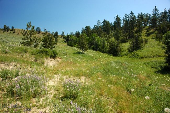 SC-25 - TBD Lone Rock Canyon Lane, Home with 0 bedrooms, 0 bathrooms and null parking in Hysham MT | Image 46