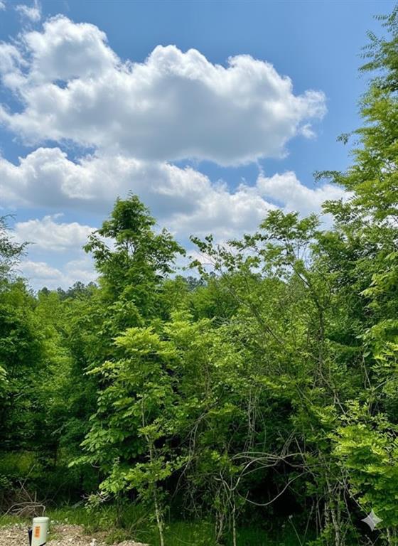 Land in Broken Bow 5