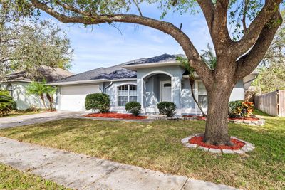 Easy to maintain yard with curb appeal. | Image 2