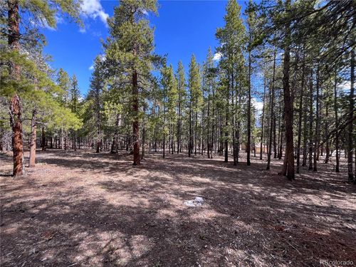 30336 National Forest Drive, Buena Vista, CO, 81211 | Card Image