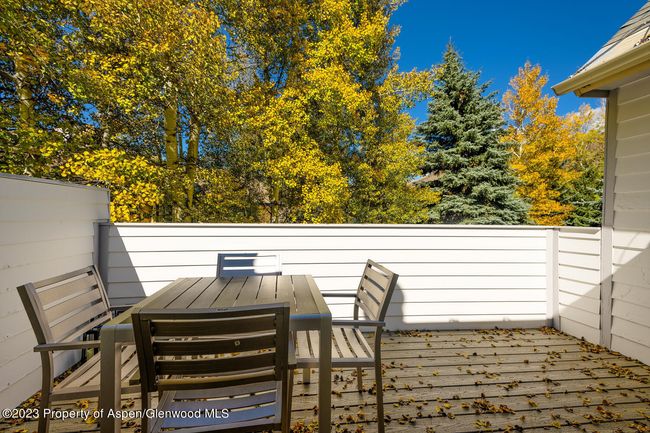 A - 1195 E Cooper Ave, Home with 4 bedrooms, 4 bathrooms and 3 parking in Aspen CO | Image 19