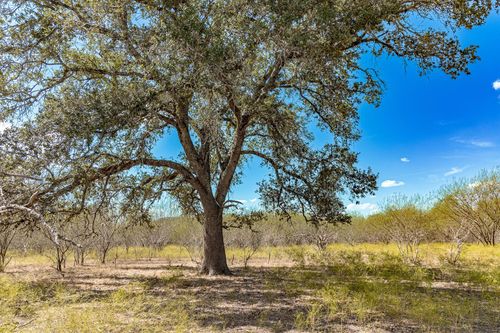 11341 Fm 340, Moulton, TX, 77975 | Card Image