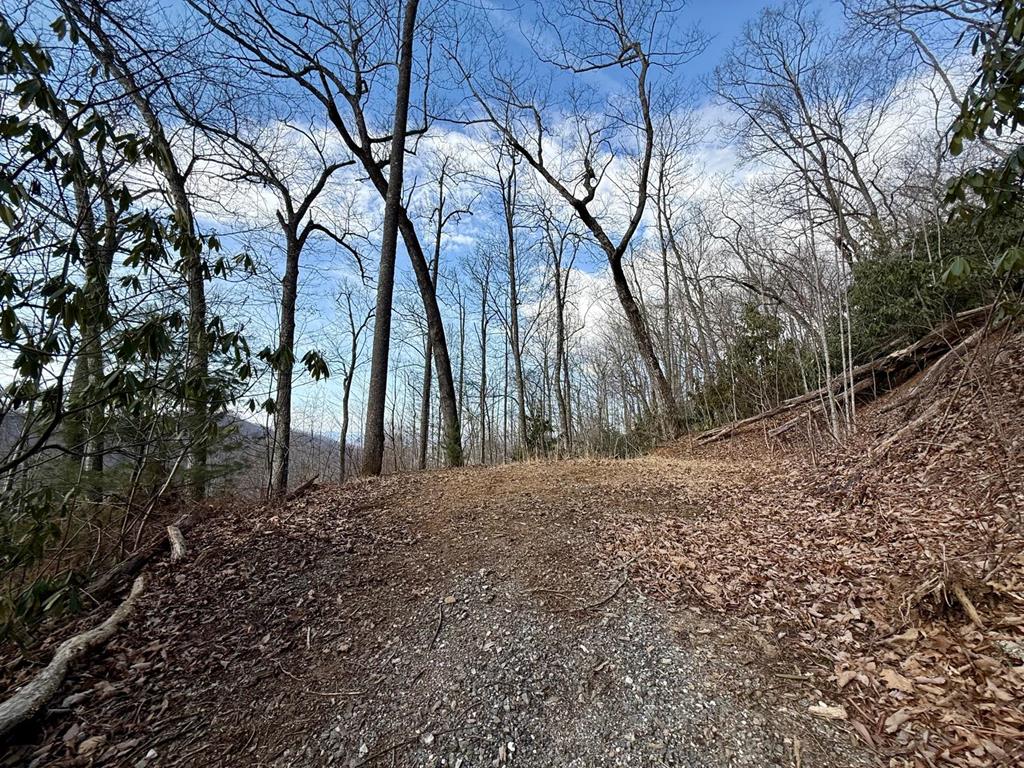 Land in Franklin