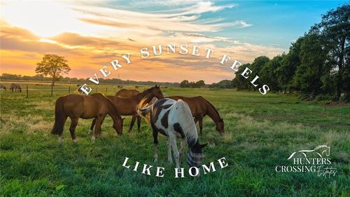 6510 Garhole View Lane, Bryan, TX, 77808 | Card Image