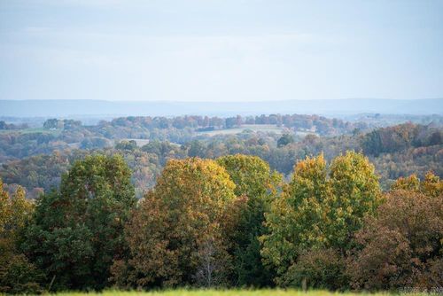 n/a County Road 663, Oak Grove, AR, 72660 | Card Image