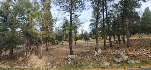 301 Excalibur Rd, Ruidoso, NM, 88345-9390 | Card Image