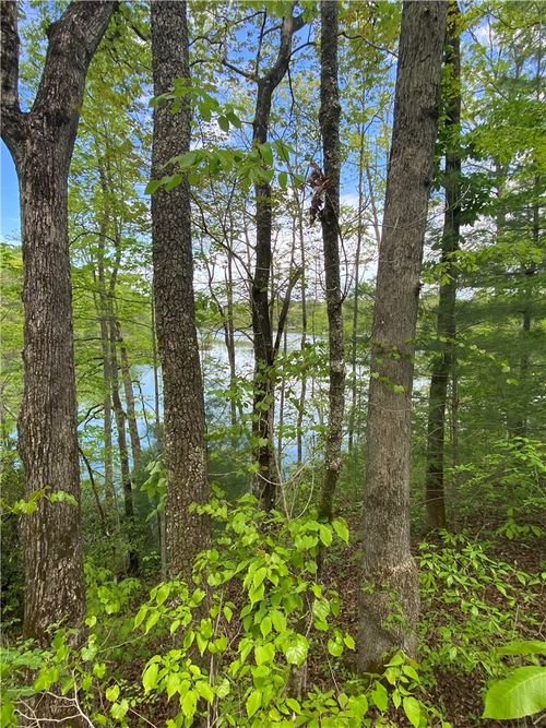 lot-36-0 Crystal Lake Road, Mountain Rest, SC, 29664 | Card Image