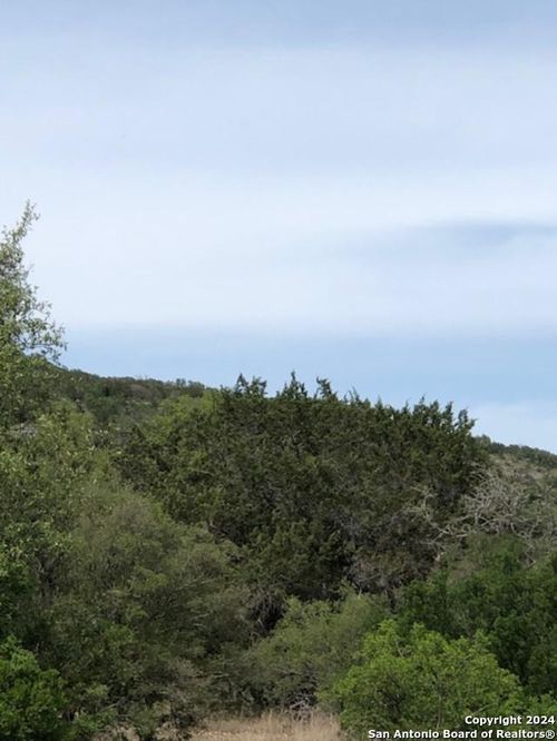 40 White Tail Run, Uvalde, TX, 78801-5077 | Card Image