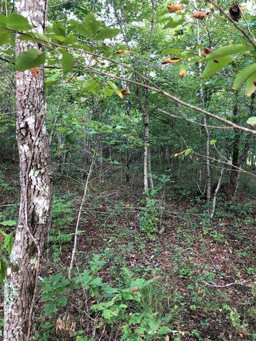 39 Iuka Ct, Crossville, TN, 38572 | Card Image