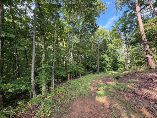 0 County Road 28 Road, Tornado, WV, 25202 | Card Image