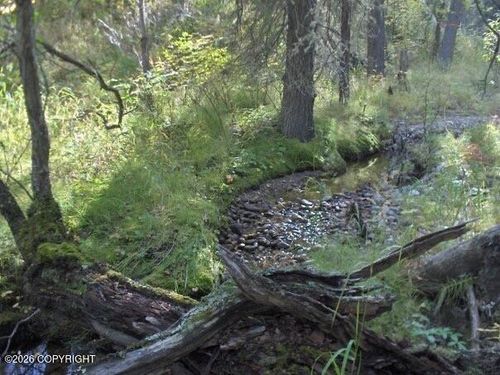 2003-16 E No Rd Ridge Rock Cabin Sites, Healy, AK, 99743 | Card Image