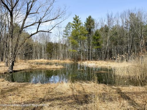 TBD Frank Hitchcock Road, Cairo, NY, 12413 | Card Image