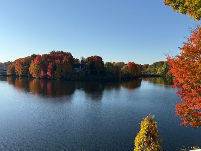 View from the deck of Hart Lake | Image 10