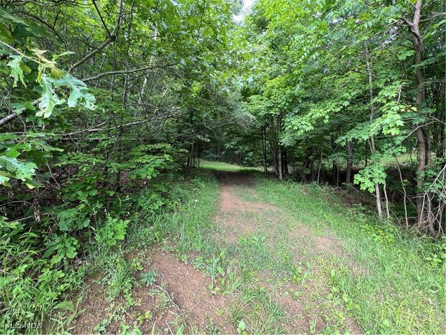 View of lane featuring a forest view | Image 17
