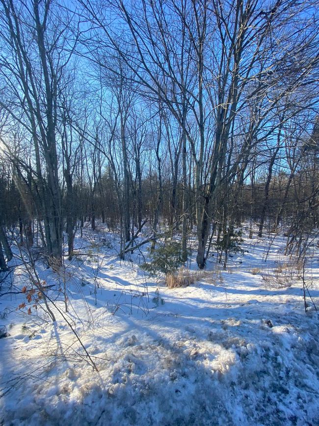 91 Fremont Rd, Home with 0 bedrooms, 0 bathrooms and null parking in Raymond NH | Image 5