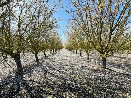 7520 W Howard Rd, Stockton, CA, 95206-9682 | Card Image