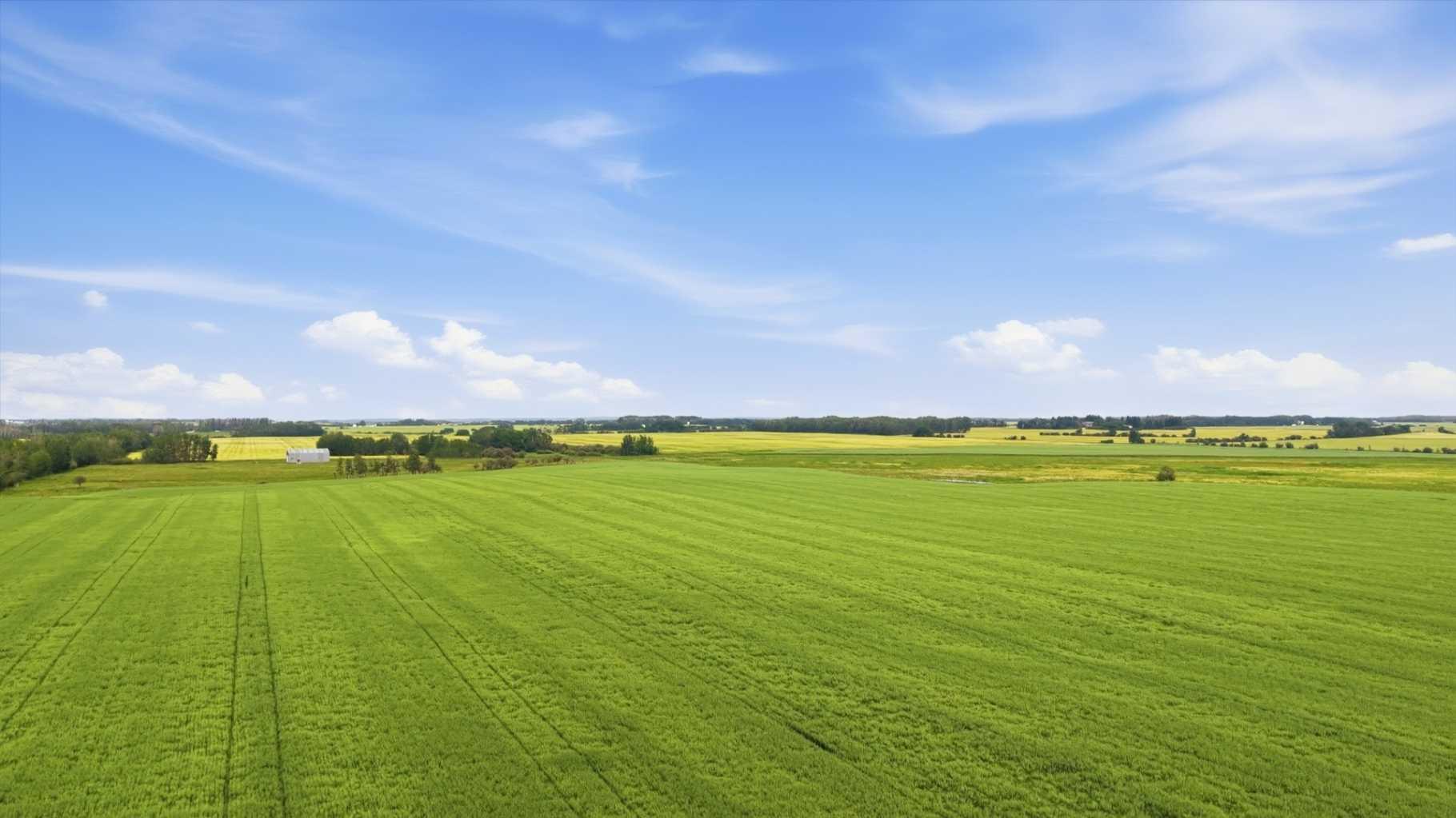 Land in Rural Red Deer County