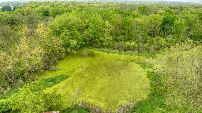 5280 Jefferson Rd, Home with 0 bedrooms, 0 bathrooms and null parking in Clarklake MI | Image 68