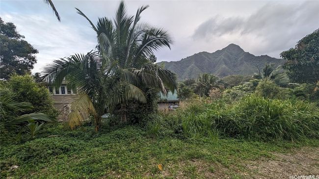 3F - 53-354 Kamehameha Hwy, Home with 0 bedrooms, 0 bathrooms and null parking in Hauula HI | Image 6