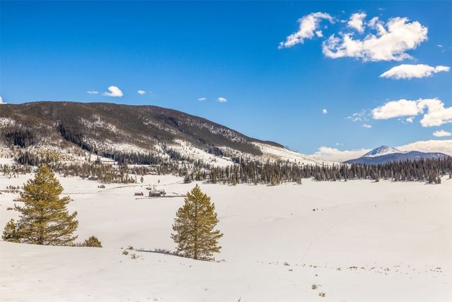 82 Potentilla Ln, Home with 3 bedrooms, 4 bathrooms and null parking in KEYSTONE CO | Image 40