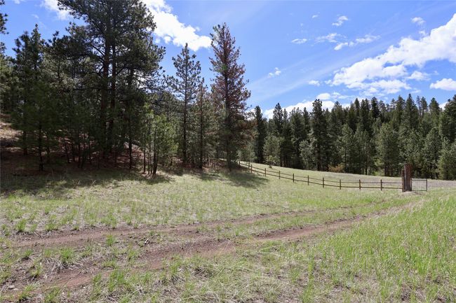 View of yard featuring a rural view and a view of trees | Image 15