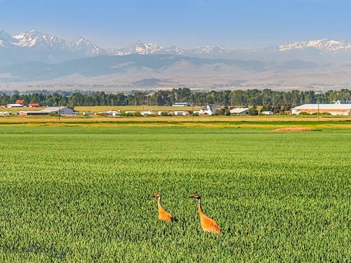 TBD Penwell Bridge Rd, Belgrade, MT, 59714 | Card Image