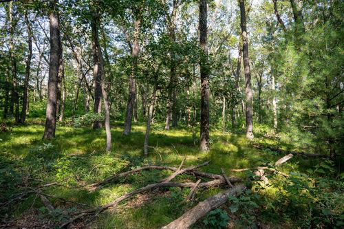 5.01 acres Colleen Drive, LYNDON, WI, 53944 | Card Image