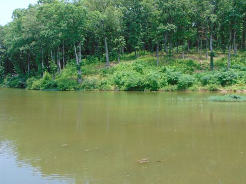 003 Wilson Lake Shrs, Muscle Shoals, AL, 35661 | Card Image